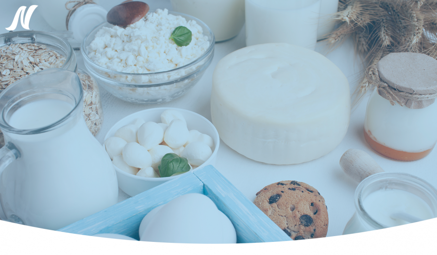 O papel dos probióticos e prebióticos na saúde intestinal em adultos ativos